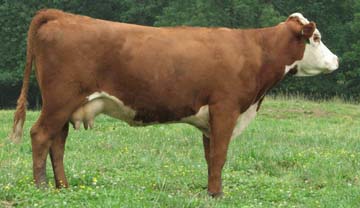 SRM 411 Miss Emma 811